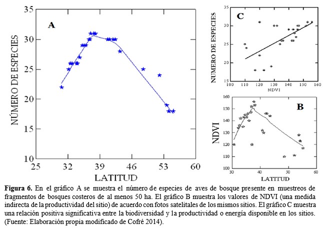 Figura 6 Patrones.jpg