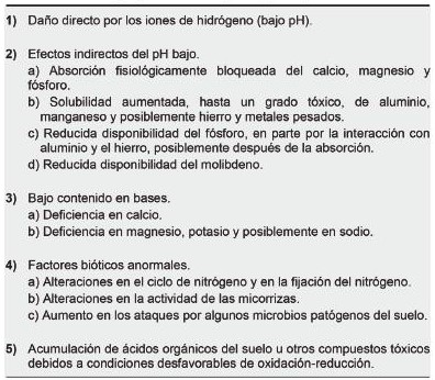 Lluvia ácida en suelo.jpg