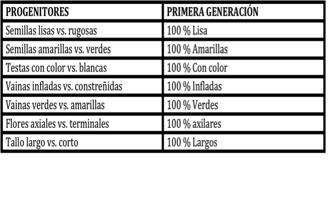 Resultados de G.M.jpg