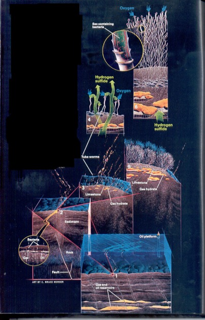 Vida sl geología.jpg