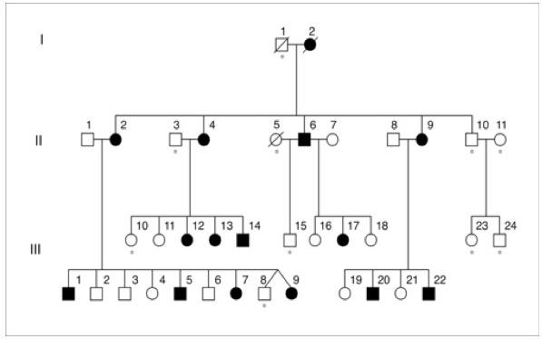 Genealogía KE.jpg