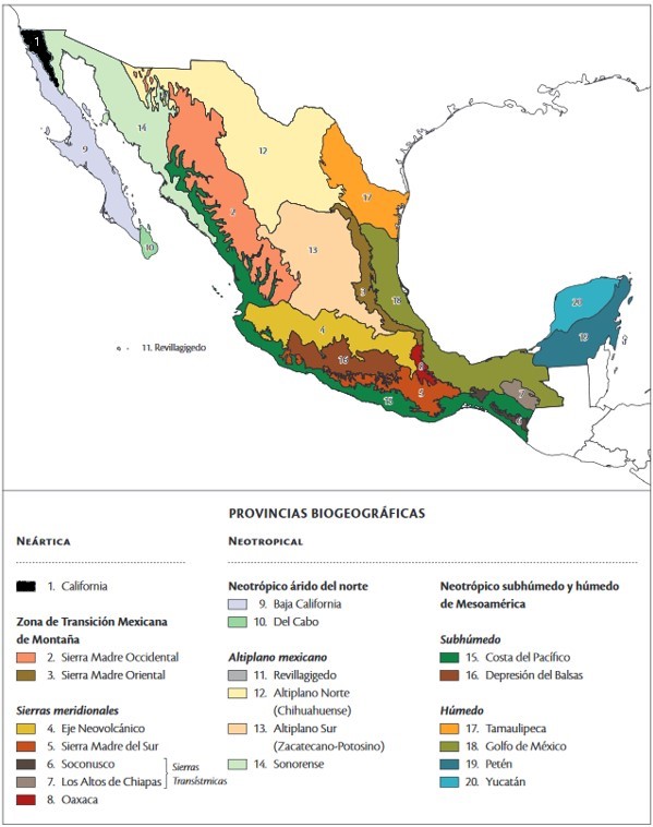 Biogeogralata.jpg