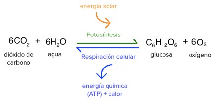 Como convertir una imagen a png en celular