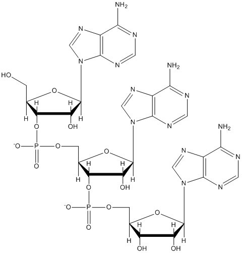 Tripurinas AVB.jpg