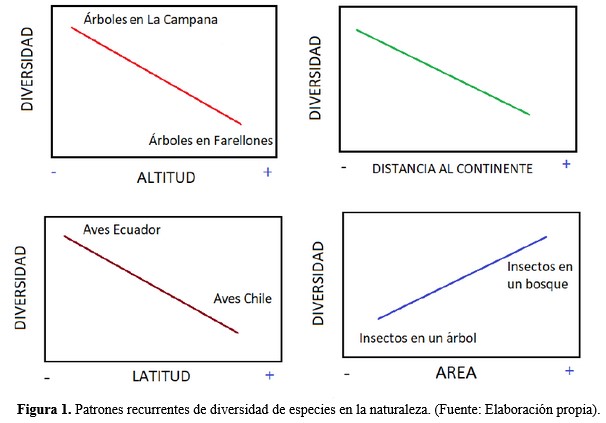 Figura 1 Patrones.jpg