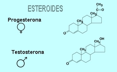 Esteroidesav.jpg