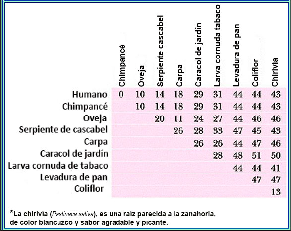 Tabla Citocromo C.jpg