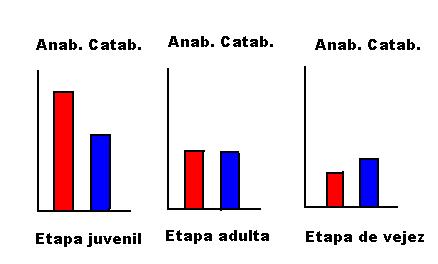 Gráficas.jpg