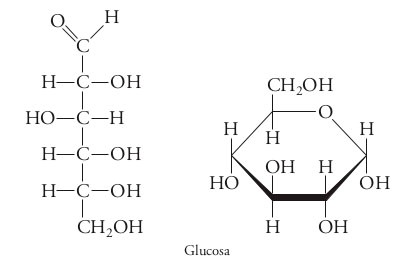 Cicloglucosa.jpg