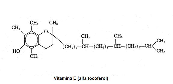 Vitaminas 3.jpg