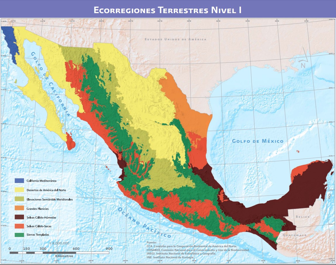 Ecoregionesterrestres1.jpg