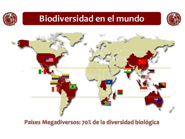 Países megadiversos.jpg