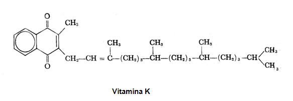 Vitaminas 4.jpg