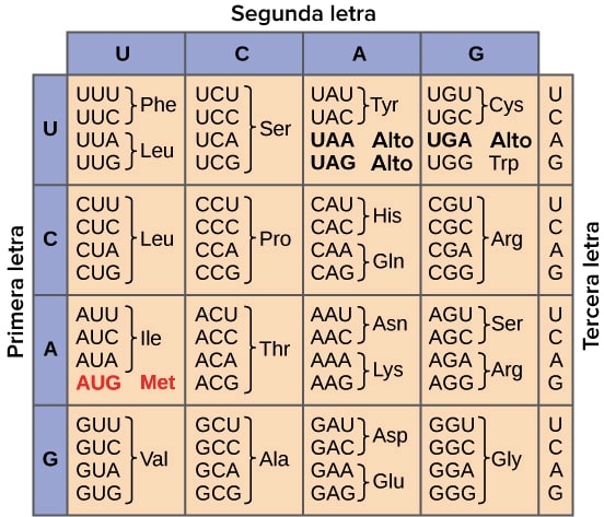 SP cuadro 1.jpg