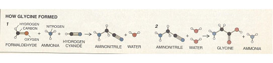 Formación de glicina.jpg