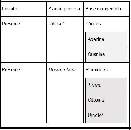 Tabla nucleotidos.jpg