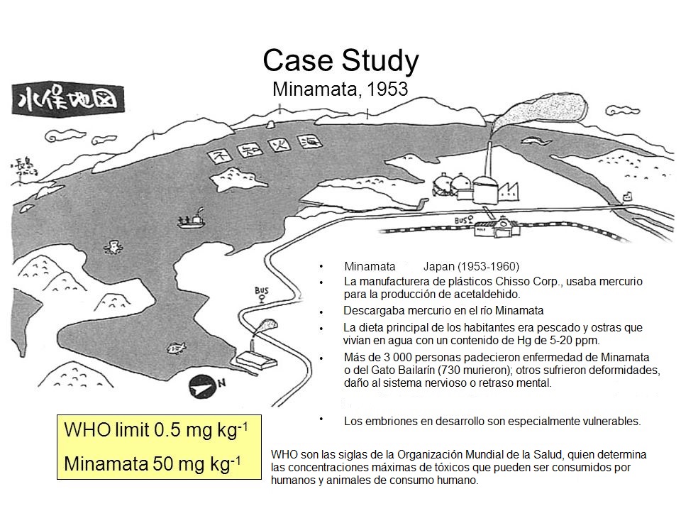 MinamataAV.jpg