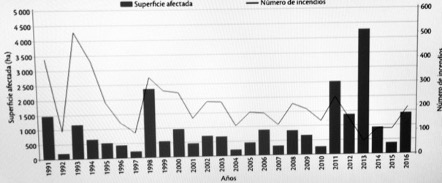 Perdida Biología 4.jpg