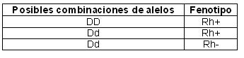 Combinación de alelos de Rh.jpg