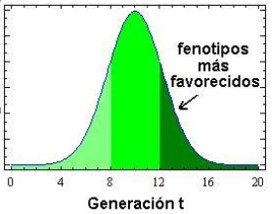 Direccional A.jpg