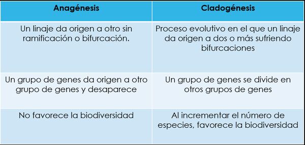 Tabla Ana clado.jpg