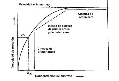 Conc. sustrato AVB.jpg