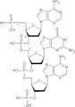 Trinucleotido DNA AVB.jpg