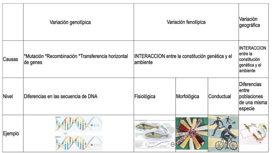 Variación cuadro 1.jpg