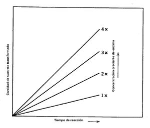 Conc. enzima AVB.jpg