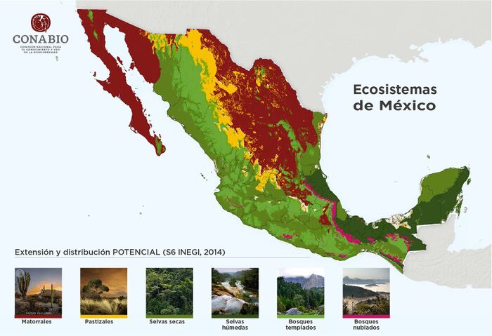 Actividad Práctica Sobre Los Principales Ecosistemas Terrestres De México Wiki Cch 7254