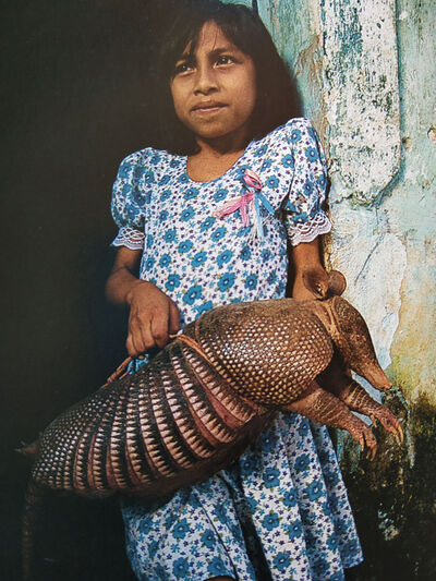 Armadilo.jpg